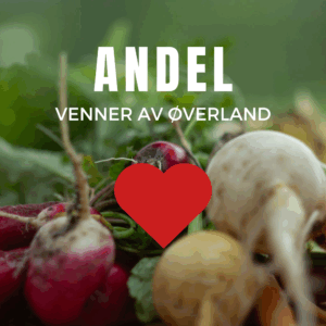 Venneandel