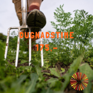 Dugnadstime