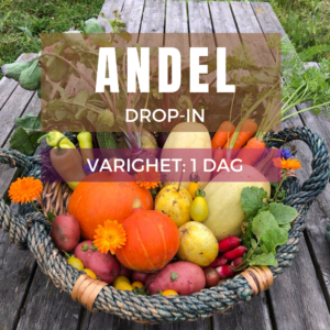 DROP-IN MAI/JUNI