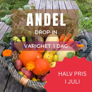 DROP-IN