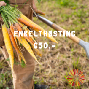 Enkelthøsting 2026