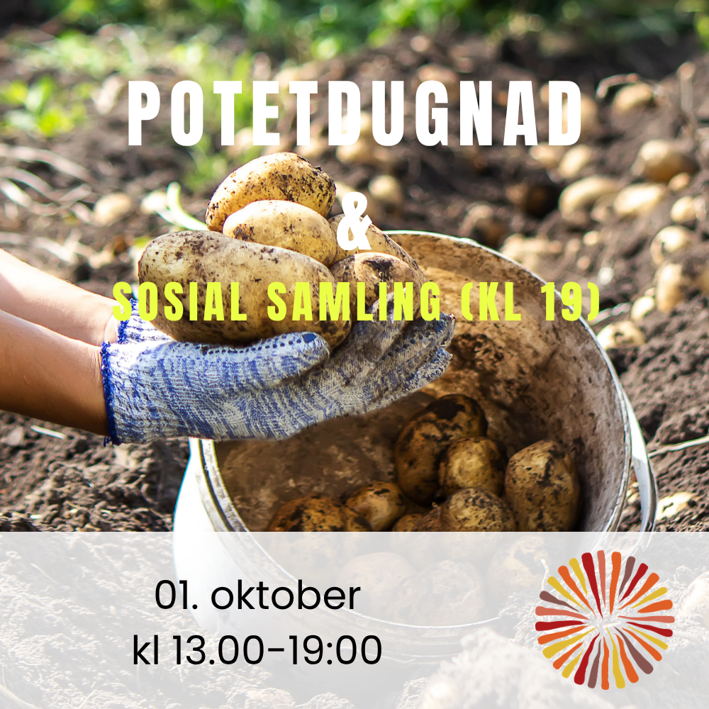 POTETdugnad 262